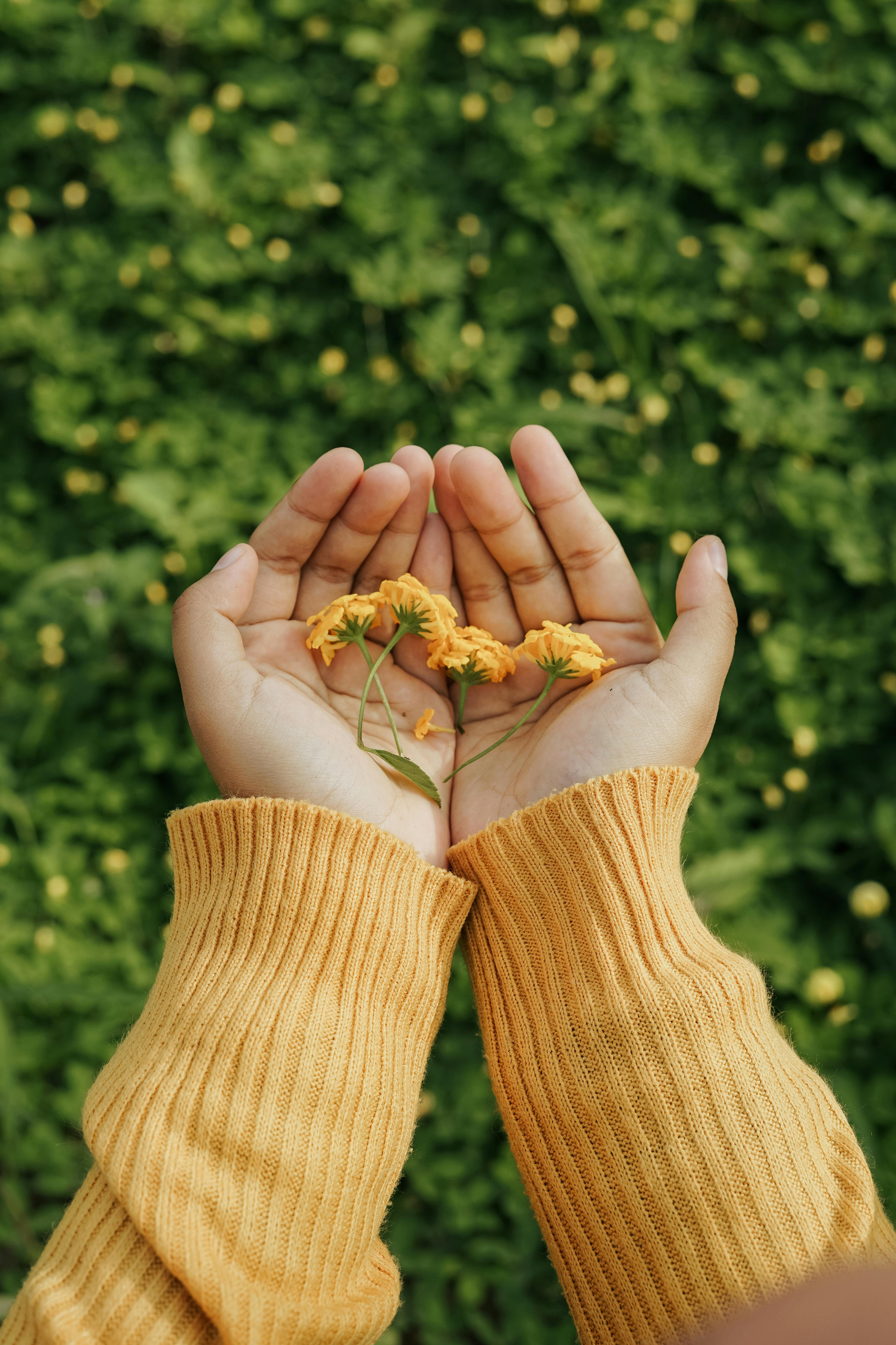 Consultório Ginecológico